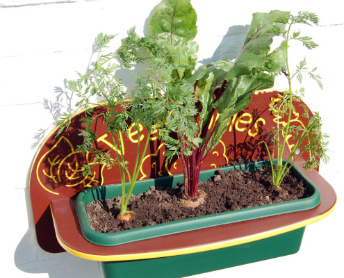 Eco-Garden_06