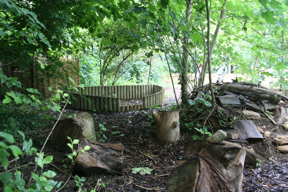 Forest Schools