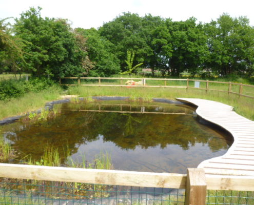 P1090360 dipping pond and platform