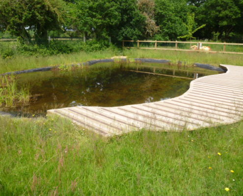 P1090363 dipping pond and platform