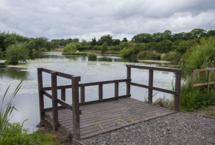 dipping pond platform