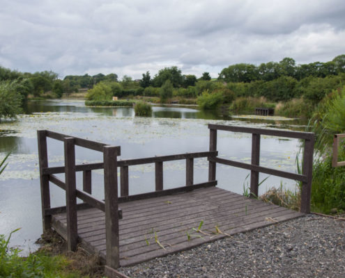 dipping pond platform