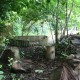dens