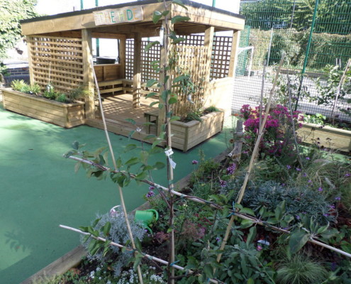 SAMSUNG CAMERA PICTURES sensory gardens