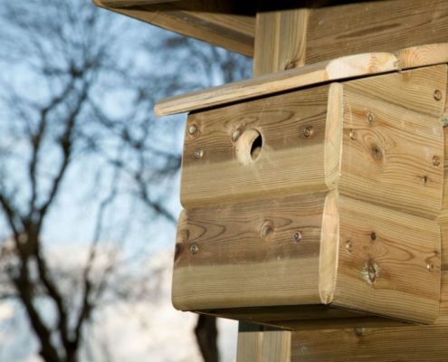 Bird box