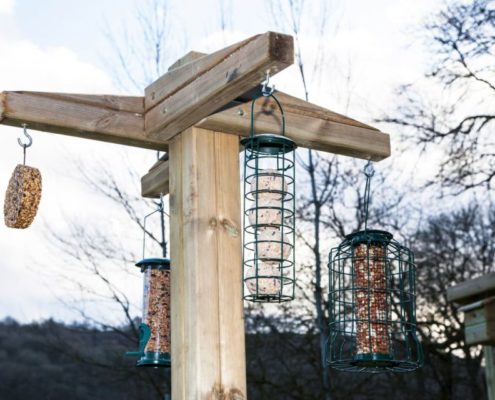 Bird feeding station